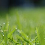 ラプアンカンクリのリネン寝具は肌にやさしくひんやり快適。夏の寝苦しさもこれで解消！
