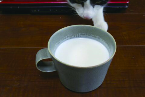 ホットミルク