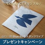 【数量限定企画】山口一郎Bluebirdスポンジワイププレゼントキャンペーン