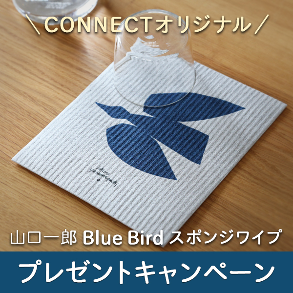 終了しました】山口一郎Bluebirdスポンジワイププレゼントキャンペーン