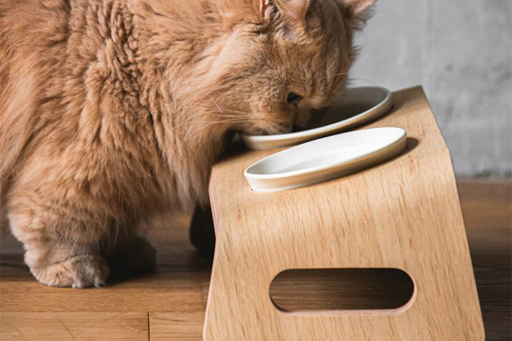 KARIMOKU CAT BED カリモク家具 日本製 猫用ベッド 木製 洗える 安定構造 (イエローベージュ＆ウォールナットナチュラル) 通販 