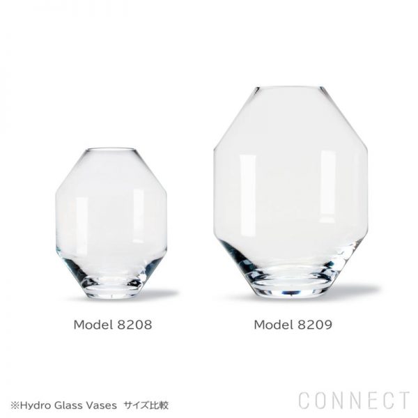 Hydro Glass Vases（ハイドログラスヴェイス）フラワーベース04