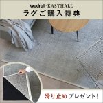 【レビュー特典アリ】CONNECTがおすすめするラグ4選