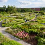世界で最も刺激的なデザインの聖地ーVitra Campusとは？